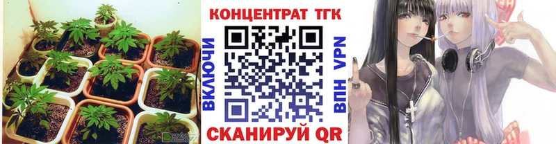 ТГК вейп  МЕГА как войти  Беслан 