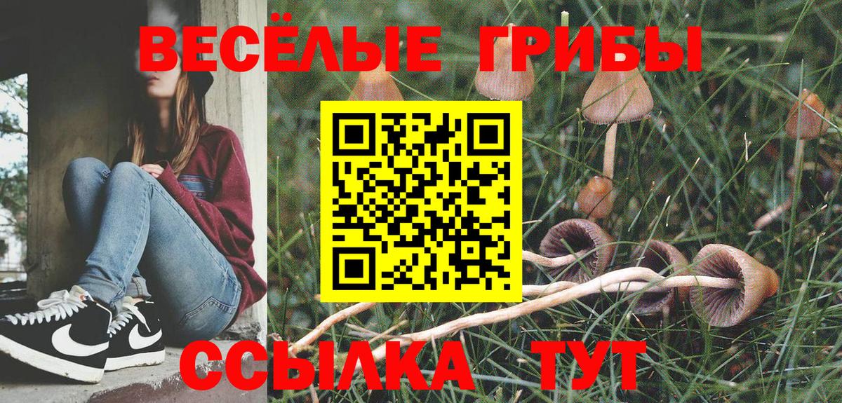Псилоцибиновые грибы Cubensis  Галлюциногенные грибы ЛСД  наркошоп  Вход с VPN  Беслан 