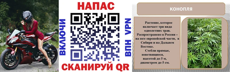 наркота  Беслан  кракен   Шишки марихуана гибрид 